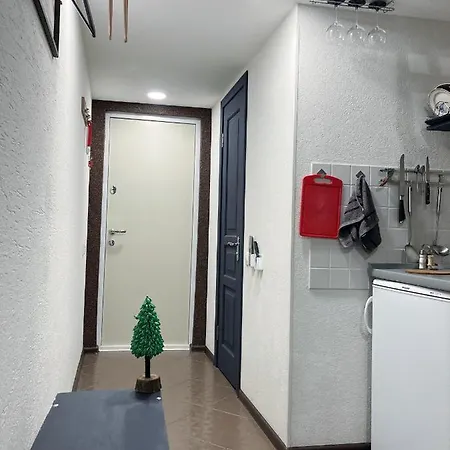 Apartment Marinesko